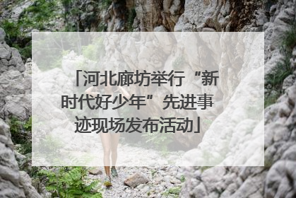 河北廊坊举行“新时代好少年”先进事迹现场发布活动