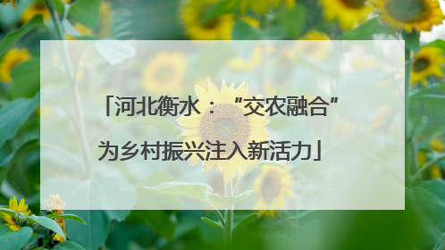 河北衡水：“交农融合”为乡村振兴注入新活力