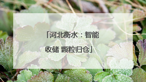 河北衡水：智能收储 颗粒归仓