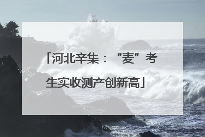 河北辛集：“麦”考生实收测产创新高