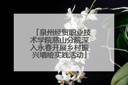 泉州经贸职业技术学院慈山分院深入永春开展乡村振兴墙绘实践活动