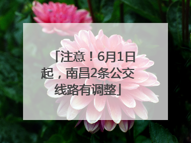注意！6月1日起，南昌2条公交线路有调整