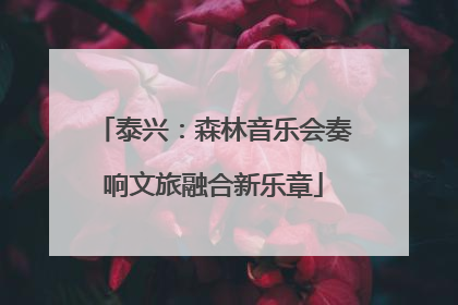 泰兴：森林音乐会奏响文旅融合新乐章