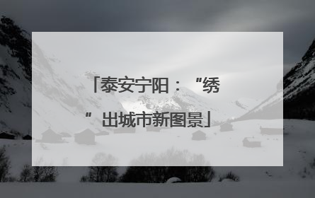 泰安宁阳：“绣”出城市新图景