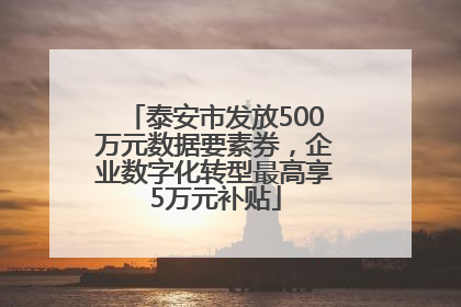 泰安市发放500万元数据要素券，企业数字化转型最高享5万元补贴