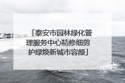 泰安市园林绿化管理服务中心精修细剪护绿焕新城市容颜