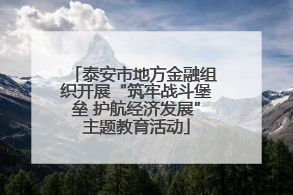 泰安市地方金融组织开展“筑牢战斗堡垒 护航经济发展”主题教育活动
