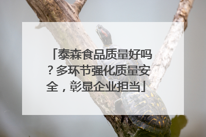 泰森食品质量好吗？多环节强化质量安全，彰显企业担当