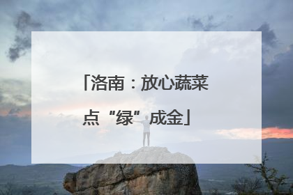 洛南：放心蔬菜点“绿”成金