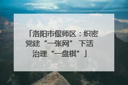 洛阳市偃师区：织密党建“一张网” 下活治理“一盘棋”