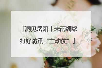 洞见岳阳丨未雨绸缪 打好防汛“主动仗”