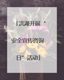 洪湖开展“安全宣传咨询日”活动