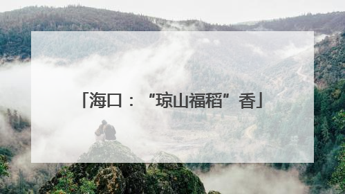海口：“琼山福稻”香
