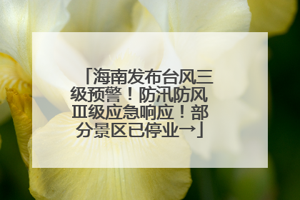 海南发布台风三级预警！防汛防风Ⅲ级应急响应！部分景区已停业→