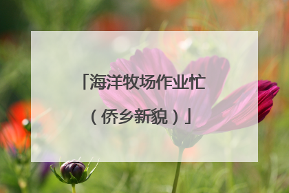 海洋牧场作业忙（侨乡新貌）
