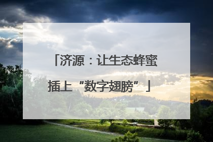 济源：让生态蜂蜜插上“数字翅膀”