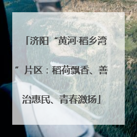 济阳“黄河·稻乡湾”片区：稻荷飘香、善治惠民、青春激扬