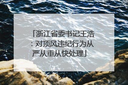 浙江省委书记王浩：对顶风违纪行为从严从重从快处理