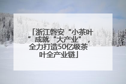 浙江磐安“小茶叶”成就“大产业”，全力打造50亿级茶叶全产业链
