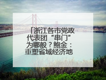 浙江各市党政代表团“串门”为哪般？鲍金：重塑省域经济地理的破题之道