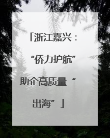 浙江嘉兴：“侨力护航”助企高质量“出海”
