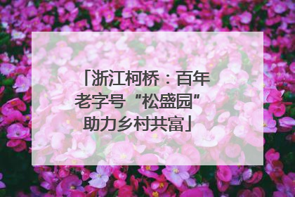 浙江柯桥：百年老字号“松盛园”助力乡村共富