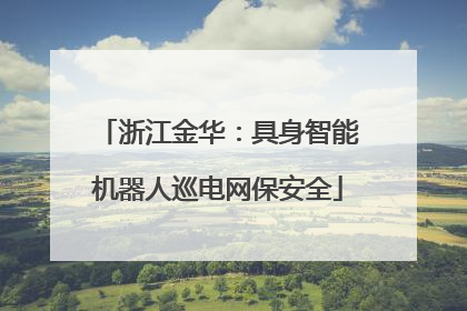 浙江金华：具身智能机器人巡电网保安全