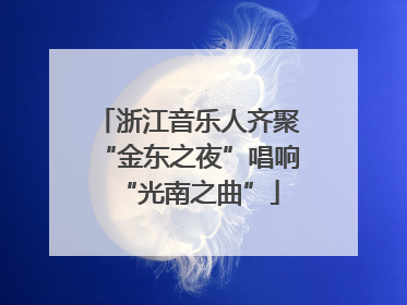 浙江音乐人齐聚“金东之夜”唱响“光南之曲”