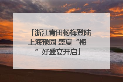 浙江青田杨梅登陆上海豫园 盛夏“梅”好盛宴开启