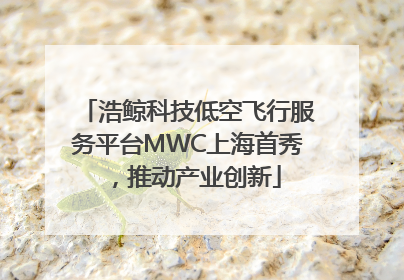 浩鲸科技低空飞行服务平台MWC上海首秀，推动产业创新
