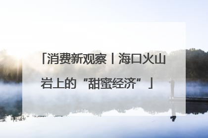 消费新观察丨海口火山岩上的“甜蜜经济”