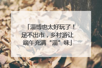 淄博也太好玩了！足不出市，乡村游让端午充满“淄”味