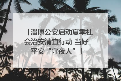 淄博公安启动夏季社会治安清查行动 当好平安“守夜人”