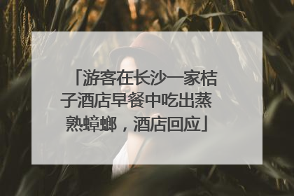 游客在长沙一家桔子酒店早餐中吃出蒸熟蟑螂，酒店回应
