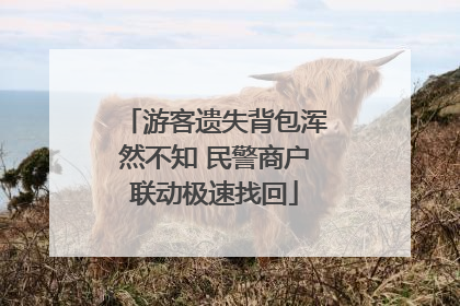 游客遗失背包浑然不知 民警商户联动极速找回