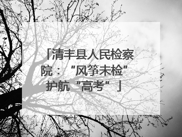 清丰县人民检察院：“风筝未检”护航“高考”