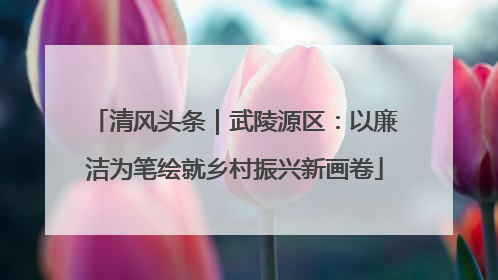 清风头条｜武陵源区：以廉洁为笔绘就乡村振兴新画卷