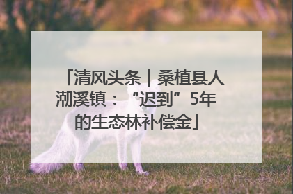 清风头条｜桑植县人潮溪镇：“迟到”5年的生态林补偿金