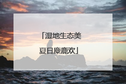 湿地生态美 夏日麋鹿欢