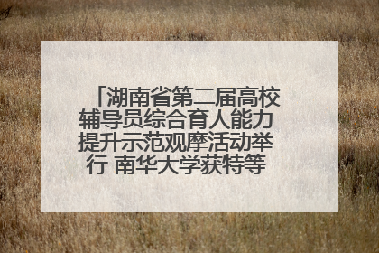 湖南省第二届高校辅导员综合育人能力提升示范观摩活动举行 南华大学获特等奖和一等奖