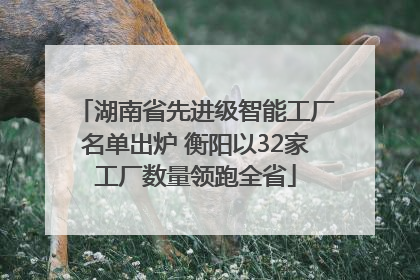 湖南省先进级智能工厂名单出炉 衡阳以32家工厂数量领跑全省