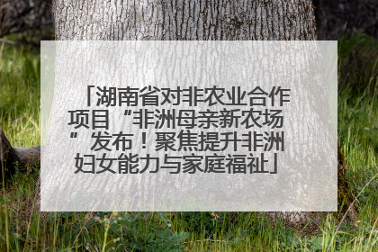 湖南省对非农业合作项目“非洲母亲新农场”发布！聚焦提升非洲妇女能力与家庭福祉
