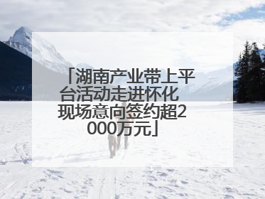 湖南产业带上平台活动走进怀化 现场意向签约超2000万元