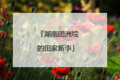 湖南团洲垸的田家新事