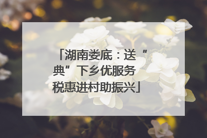 湖南娄底：送“典”下乡优服务 税惠进村助振兴