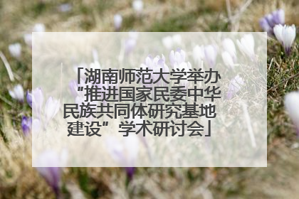 湖南师范大学举办“推进国家民委中华民族共同体研究基地建设”学术研讨会