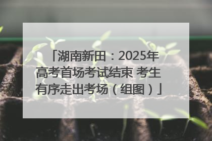 湖南新田：2025年高考首场考试结束 考生有序走出考场（组图）