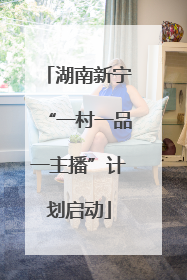 湖南新宁“一村一品一主播”计划启动