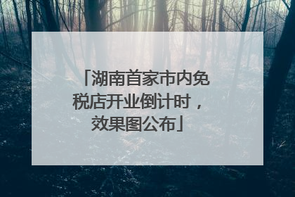 湖南首家市内免税店开业倒计时，效果图公布