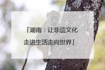 湖南：让非遗文化走进生活走向世界